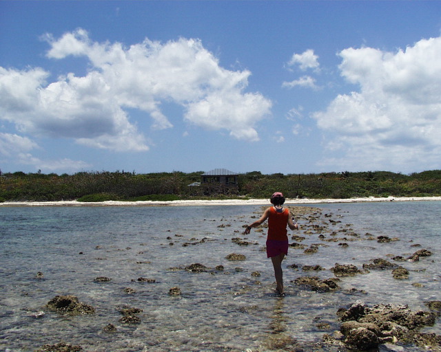 tidepool in backyard.jpg